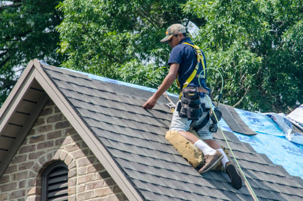 Best Gutter Installation and Roofing  in Hopkinsville, KY